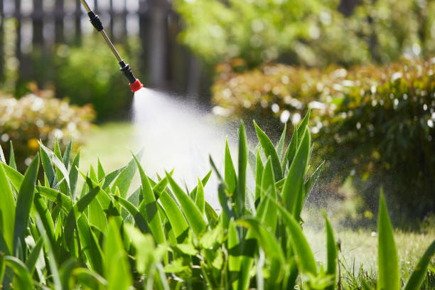 24/7 Emergency Mosquito Control experts in Lake San Marcos, CA